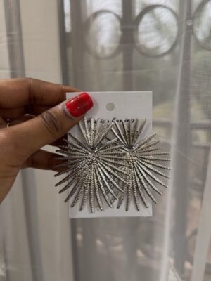 Boucle d’oreille éclat d’argent